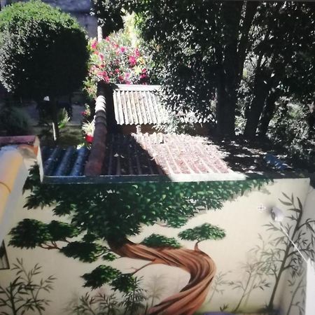 Suite Oisivete Avec Terrasse Vue Sur Patio Et Clim Montpellier Exterior foto
